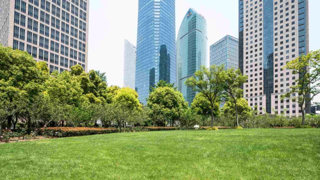 Contato com natureza protege a saúde mental e evita internações (Imagem: Getty Images/ Canva Pro)
