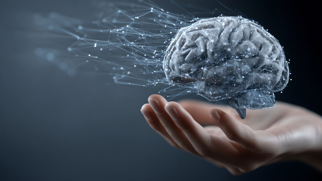 Diferenciação prolongada das células corticais explica maturação cerebral. (Foto: Liandra Design via Canva)