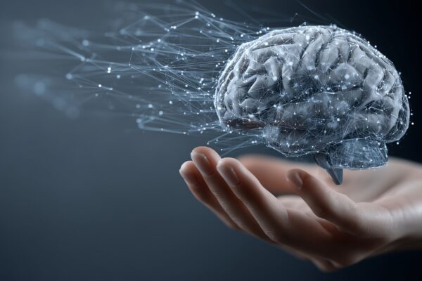 Diferenciação prolongada das células corticais explica maturação cerebral. (Foto: Liandra Design via Canva)