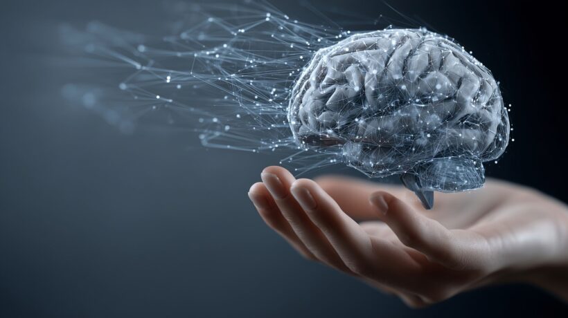 Diferenciação prolongada das células corticais explica maturação cerebral. (Foto: Liandra Design via Canva)