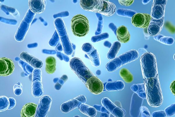 Enzima M5 revela micróbios capazes de transformar PET em alimento (Imagem: TrueCreatives/ Canva Pro)