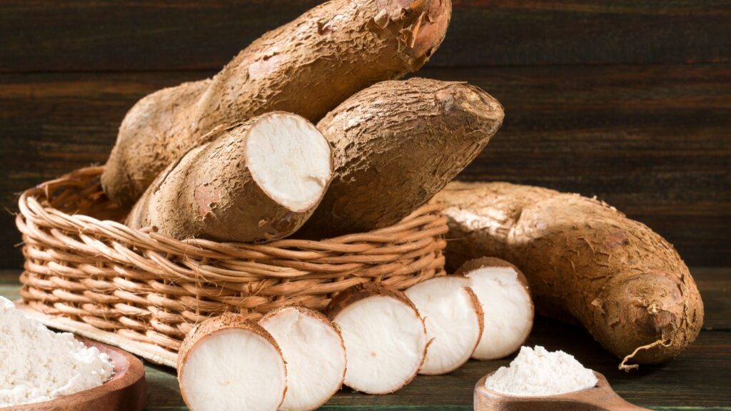 Fibras e prebióticos da mandioca fortalecem o intestino. (Foto: Getty Images via Canva)