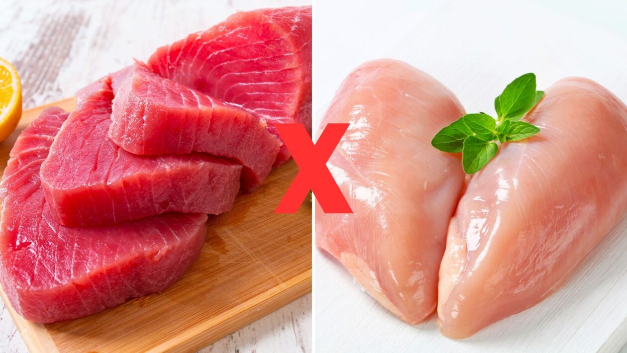 Atum possui mais proteína e ômega-3 que o peito de frango. (Foto: Getty Images via Canva)