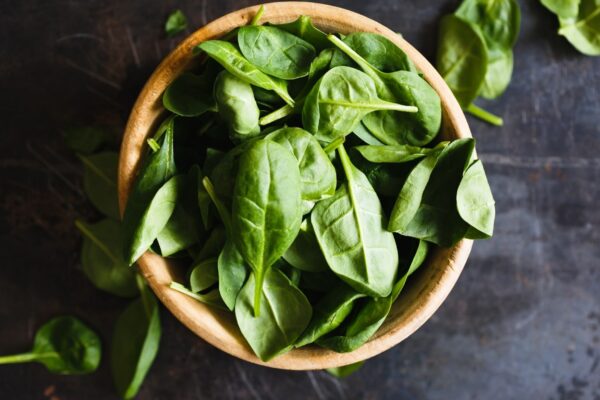 Manjericão reduz inflamações e melhora a saúde intestinal. (Foto: Gerada por IA via Gemini)