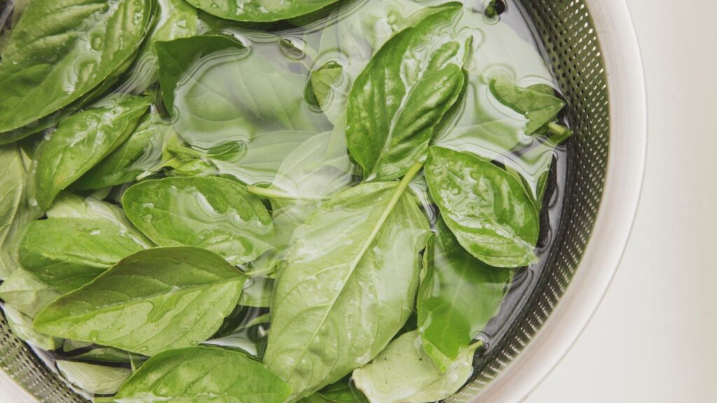 Polifenóis da erva combatem radicais livres e inflamação. (Foto: Gerada por IA via Gemini)