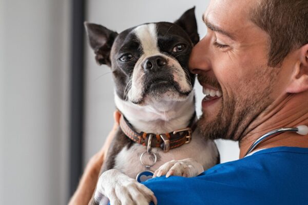 Observar gestos humanos ajuda cães a entender o ambiente. (Foto: Getty Images via Canva)