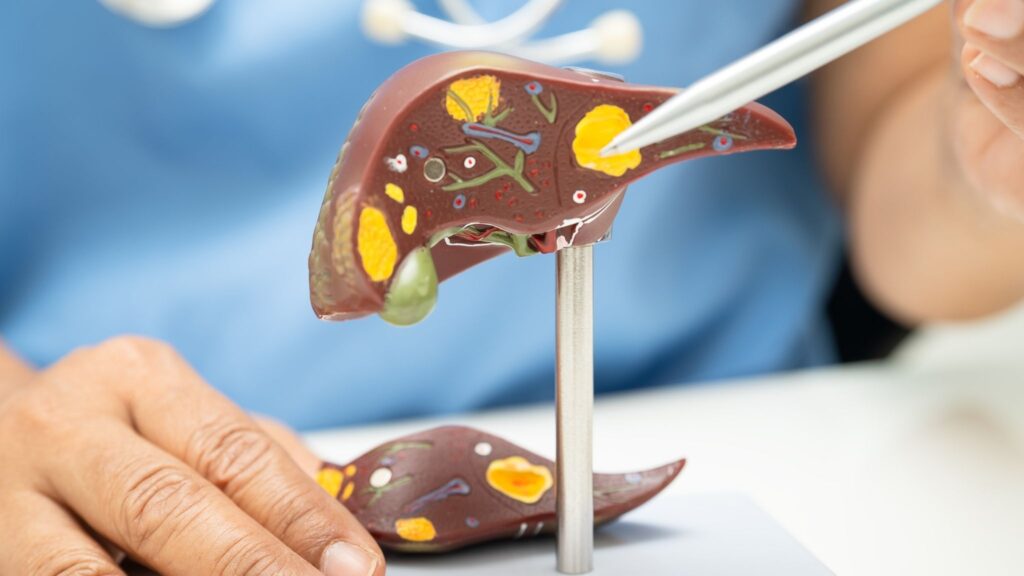 Diagnóstico precoce aumenta as chances de cura do câncer hepático. (Foto: Pamai's Images via Canva)