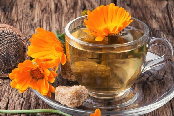 Chá de calêndula acelera a regeneração da pele. (Foto: Mykola Lunov via Canva)