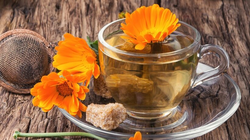 Chá de calêndula acelera a regeneração da pele. (Foto: Mykola Lunov via Canva)