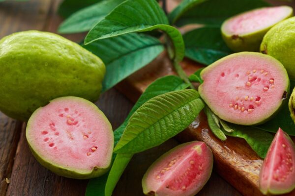 Chá de folha de goiaba ajuda a regular o intestino. (Foto: Getty Images via Canva)