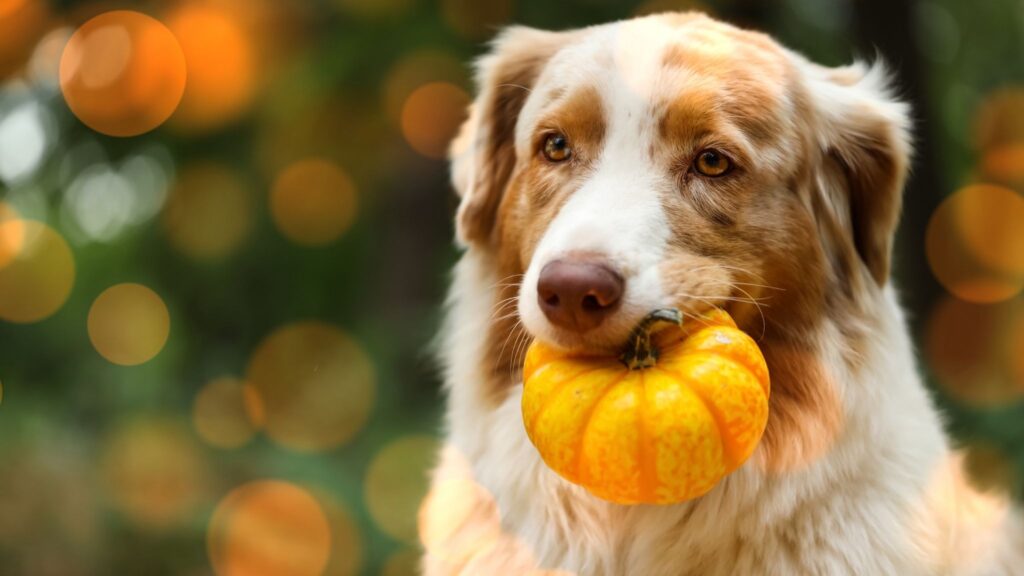 Distúrbios do sono comprometem recuperação física e mental. (Foto: Africa Images via Canva)