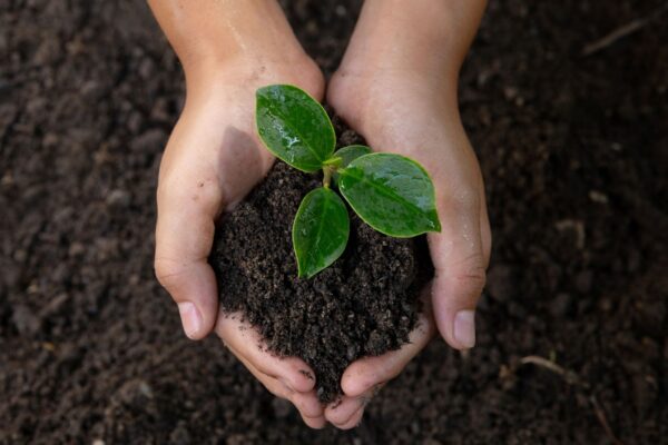 Eixo intestino-cérebro liga natureza e emoções. (Foto: Pcess609 via Canva)