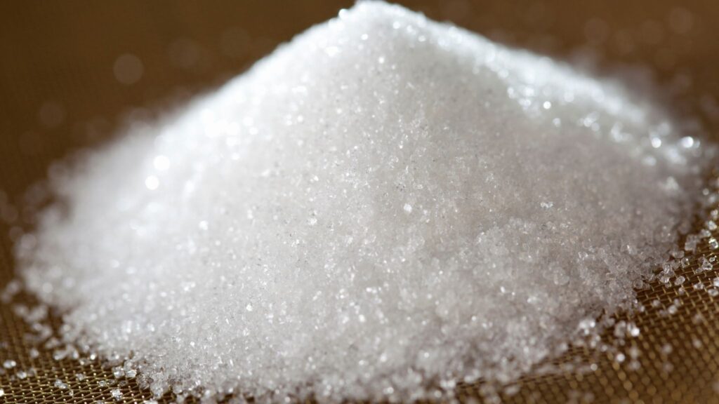 Primeiros mil dias definem saúde do coração, diz pesquisa. (Foto: Getty Images via Canva)