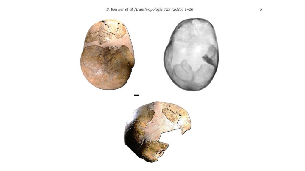 Descoberta desafia a evolução humana e rituais pré-históricos (Imagem: Universidade de Tel Aviv)
