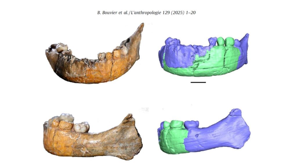 Skh?l 1° revela miscigenação precoce e práticas culturais antigas (Imagem: Universidade de Tel Aviv)
