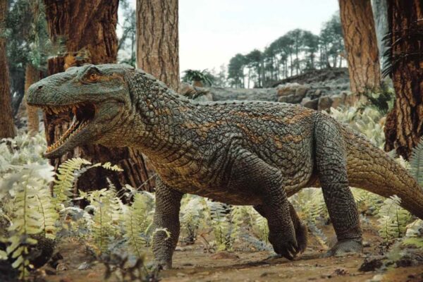 Fóssil revela crocodilo guerreiro que caçava antes dos dinossauros. (Imagem: Rodrigo Temp Müller et al.)