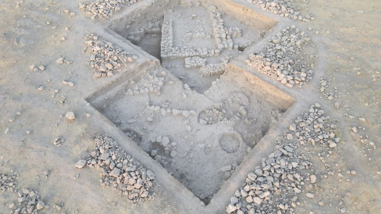 Registro arqueológico referente ao fim do Calcolítico e ao início do Bronze. (Foto: Divulgação / Universidade de Coimbra)