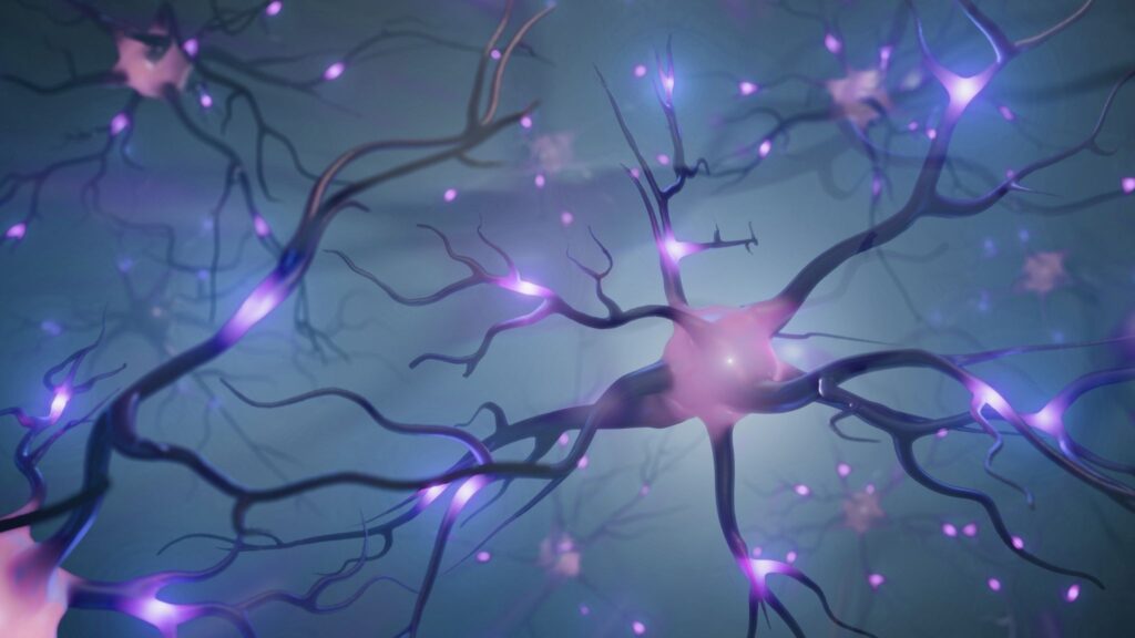 Células nervosas sofrem desgaste progressivo. (Foto: Getty Images via Canva)