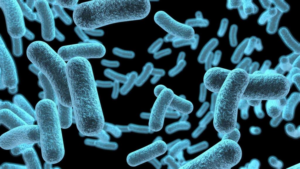 Estresse da membrana bacteriana ajuda a entender formação de biofilmes. (Imagem: Getty Images/ Canva Pro)