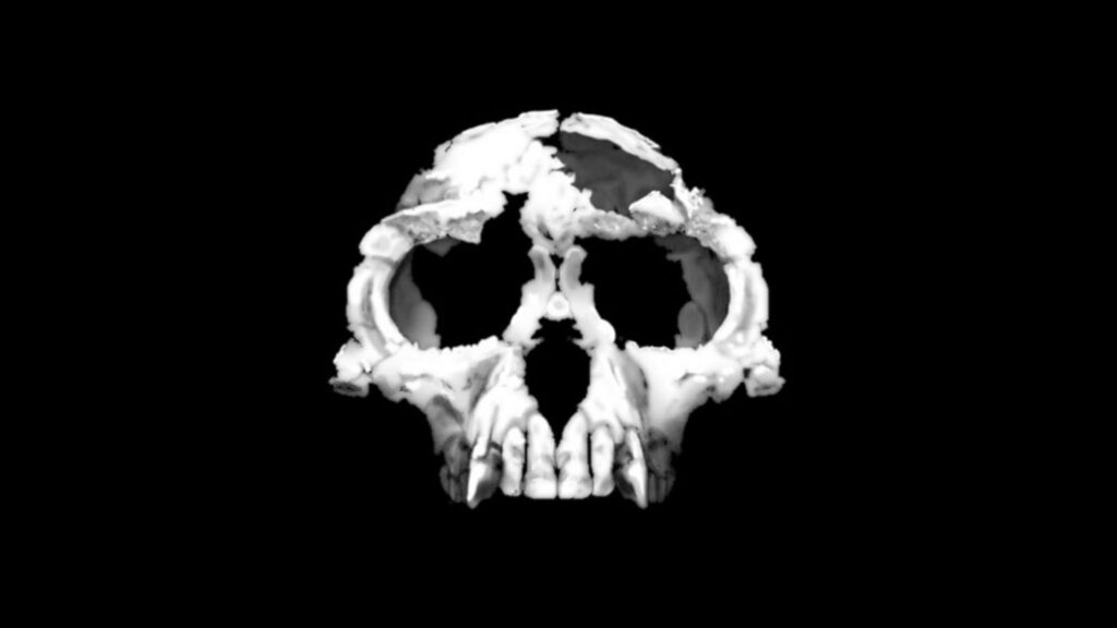 Descoberta na Etiópia muda teoria da evolução. (Foto: T. Michael Keesey via Wikimedia Commons)