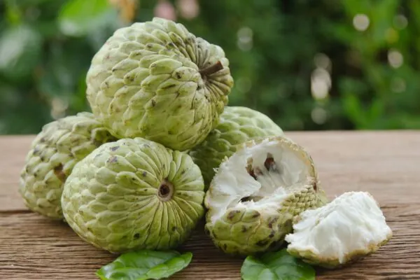 Fruta-do-conde concentra compostos que protegem as células. (Foto: Getty Images via Canva)