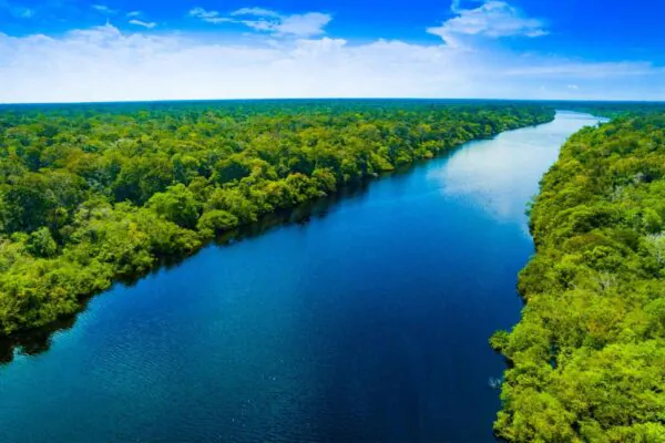 Impactos humanos transformam a Amazônia e reduzem sua biodiversidade (Imagem: Getty Images/ Canva Pro)