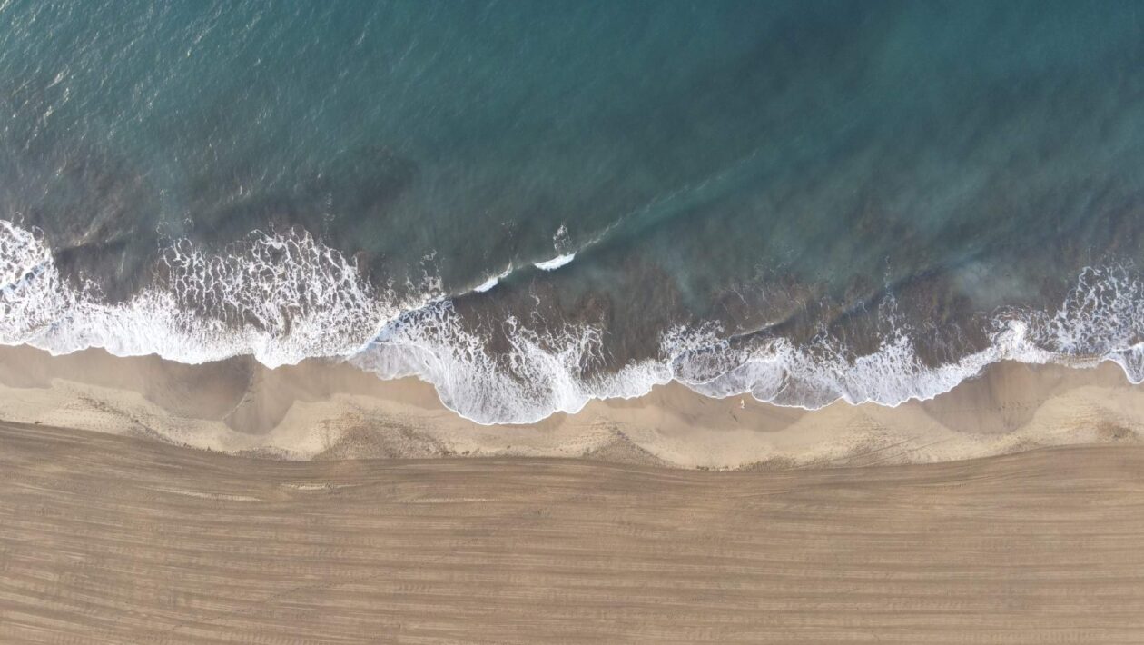 Oceanos entram em era instável e pressionam ecossistemas marinhos (Imagem: Getty Images/ Canva Pro)