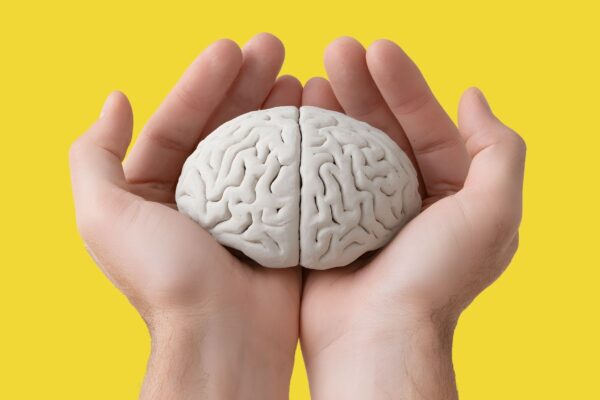 Estrutura cerebral se transforma da infância à velhice. (Foto: Oksanavectorart via Canva)