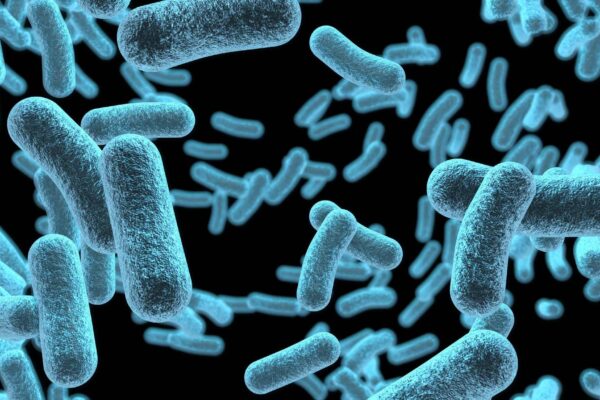 Microplásticos carregam superbactérias e ampliam riscos à saúde. (Imagem: Getty Images/ Canva Pro)