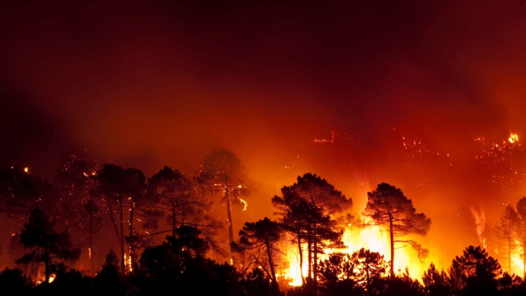 Estudo alerta que risco global de incêndios pode subir 91% (Imagem: Getty Images/ Canva Pro)
