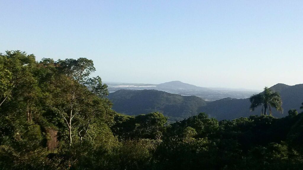 Redes ecológicas mostram como integrar fragmentos e salvar biodiversidade (Imagem: Getty Images/ Canva Pro)
