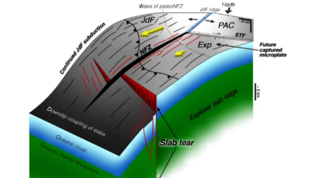 Interpretação 3D da junção tectônica ao norte de Cascadia, onde a subducção deve cessar. (Imagem: Brandon Shuck et al./Science/ CC BY 4.0)
