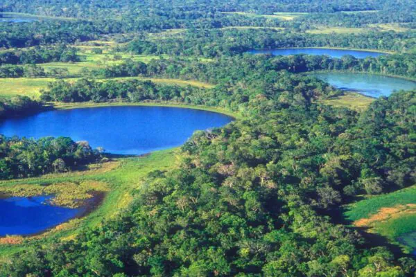 Pantanal vive pior seca em 40 anos e perde 75% das águas (Imagem: Getty Images/ Canva Pro)