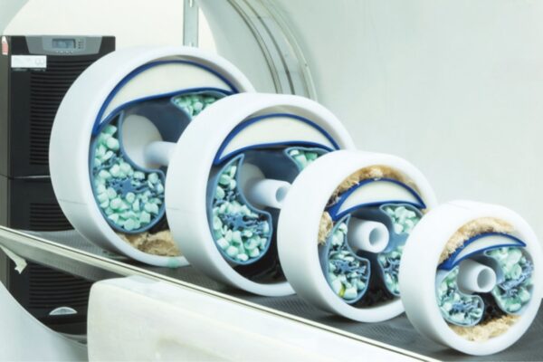 Na versão com formato humano do modelo, módulos ajustáveis imitam as características dos tecidos do pulmão. (Foto: Léo Ramos Chaves/Revista Pesquisa FAPESP)