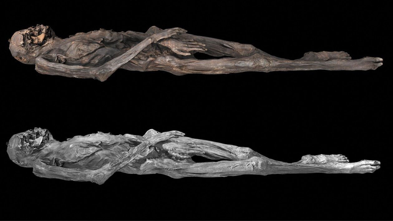 Tatuagens de 2.500 anos revelam arte avançada na Sibéria. (Foto: Caspari G et al / Antiquity)