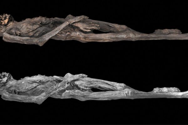 Tatuagens de 2.500 anos revelam arte avançada na Sibéria. (Foto: Caspari G et al / Antiquity)