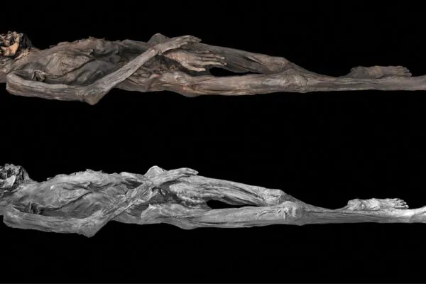 Tatuagens de 2.500 anos revelam arte avançada na Sibéria. (Foto: Caspari G et al / Antiquity)