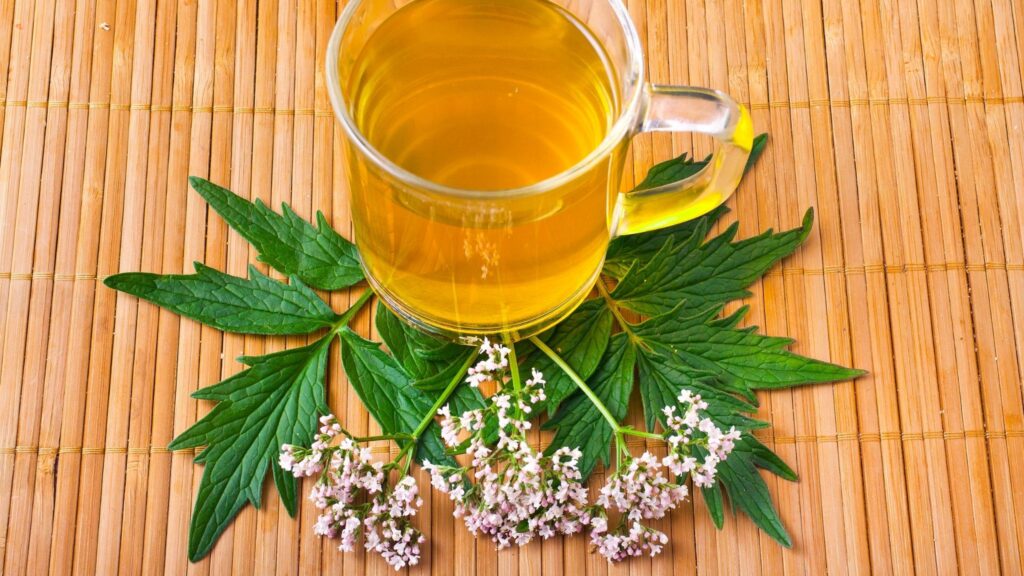 Ácido valerênico atua no cérebro e acalma o humor. (Foto: Getty Images via Canva)