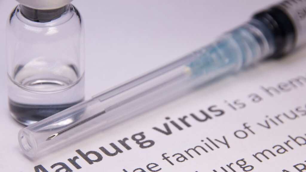 Transmissão ocorre principalmente por morcegos infectados. (Foto: Getty Images via Canva)