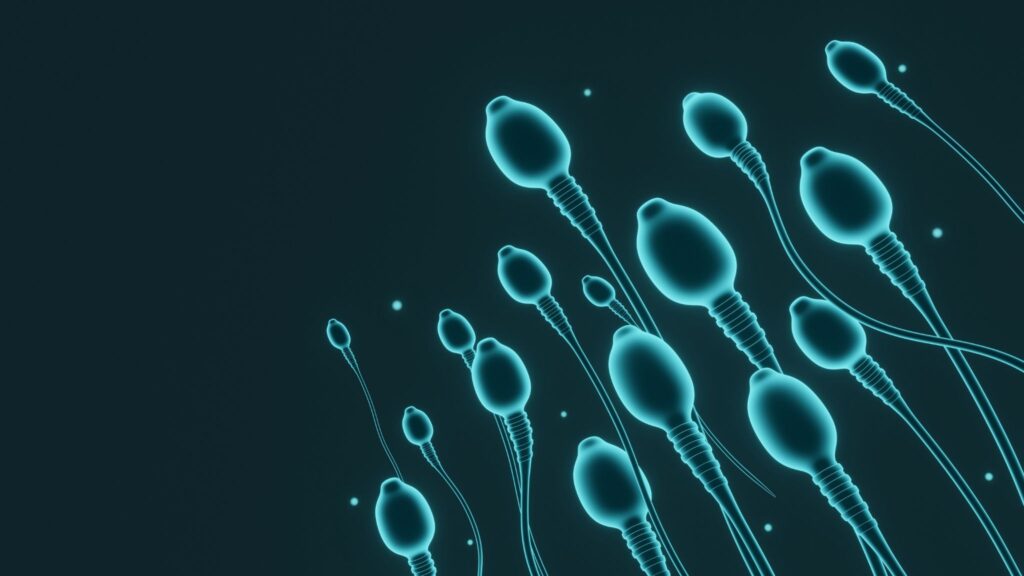 Uso de preservativos é recomendado após certas viroses. (Foto: Kavic.C's Images via Canva)