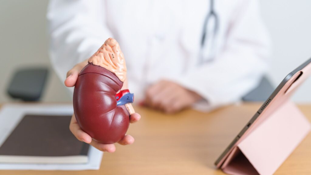 Biomarcadores ajudam a prever rejeição de órgãos. (Foto: Getty Images via Canva)