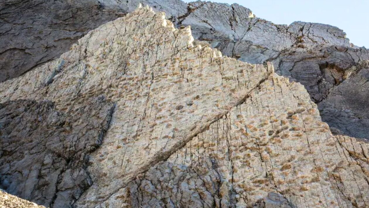 Cerca de 20.000 pegadas de dinossauros nos Alpes italianos. (Foto: Divulgação Elio Della Ferrera / Soprintendenza arqueologia)