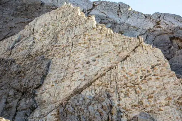 Cerca de 20.000 pegadas de dinossauros nos Alpes italianos. (Foto: Divulgação Elio Della Ferrera / Soprintendenza arqueologia)