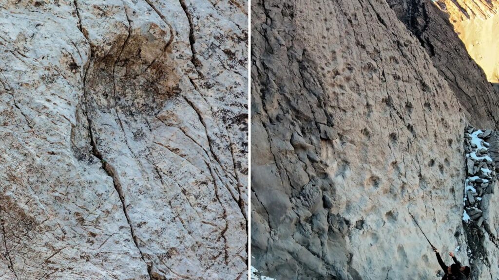 Pegadas de herbívoros bípedes registradas em dolomitas. (Foto: Divulgação Elio Della Ferrera / Soprintendenza arqueologia)