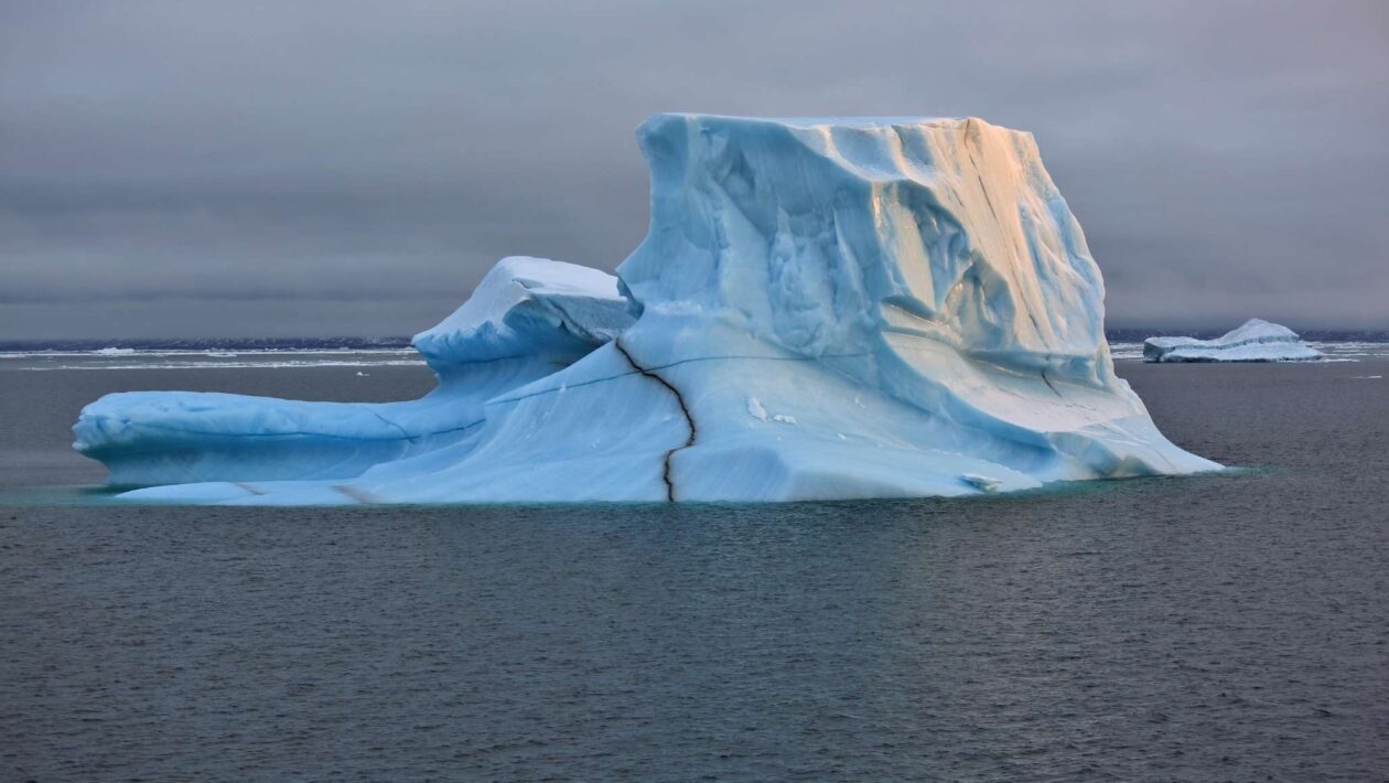 Ártico registra ano mais quente e acelera derretimento do gelo marinho (Imagem: Getty Images/ Canva Pro)