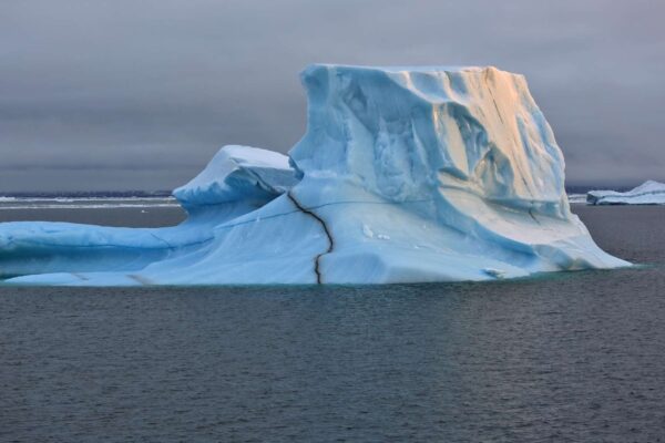 Ártico registra ano mais quente e acelera derretimento do gelo marinho (Imagem: Getty Images/ Canva Pro)