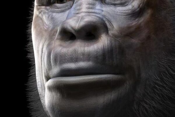 Dentes fósseis revelam que duas espécies humanas ancestrais saíram da África juntas (12)