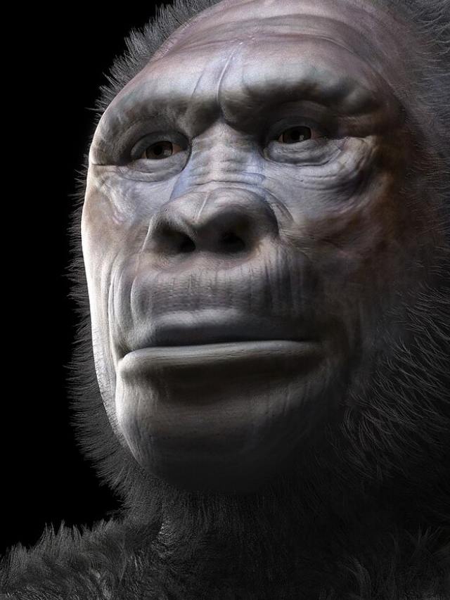 Dentes antigos revelam surpresa sobre os primeiros humanos