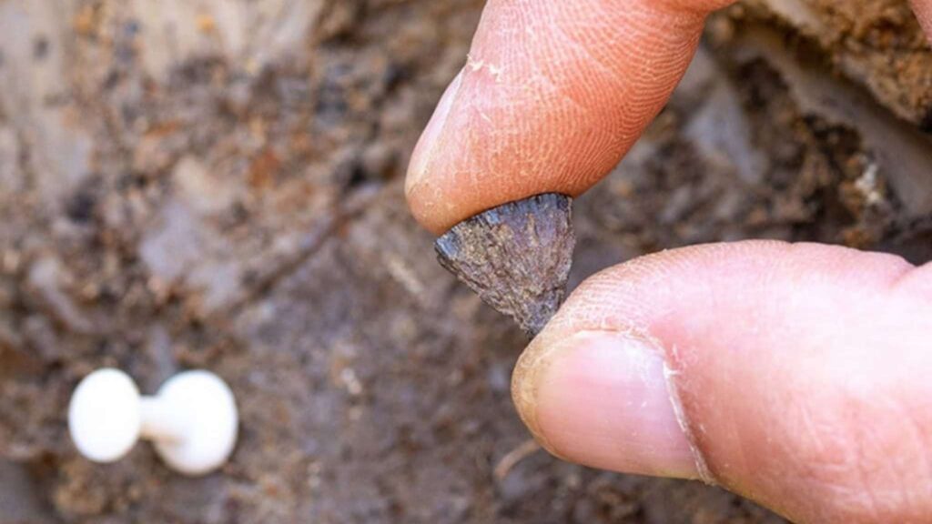 Pirita foi usada para gerar faíscas e acender fogueira pré-humana (Imagem: ©Jordan Mansfield/Pathways to Ancient Britain Project ao Museu de História Natural/Reprodução)