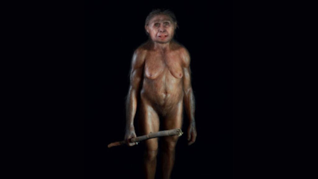 Homo floresiensis enfrentou fome, humanos modernos e erupção vulcânica (Imagem: Elisabeth Daynès | CC BY-SA 4.0)
